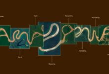 Photo of Amazônia ganha marca oficial com letras criadas a partir dos rios da região