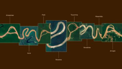 Photo of Amazônia ganha marca oficial com letras criadas a partir dos rios da região