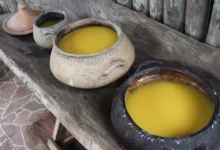 Photo of Conheça o arubé, “mostarda indígena” do Pará feita da mandioca que corre risco de desaparecer