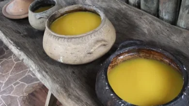Photo of Conheça o arubé, “mostarda indígena” do Pará feita da mandioca que corre risco de desaparecer