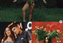 Photo of Artista de Icoaraci assina identidade visual do novo álbum de Anitta