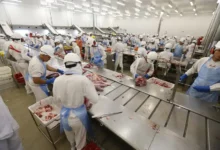 Photo of Pará mantém a terceira maior balança comercial do Brasil e registra superávit de US$ 21,5 bilhões em 2025