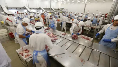 Photo of Pará mantém a terceira maior balança comercial do Brasil e registra superávit de US$ 21,5 bilhões em 2025