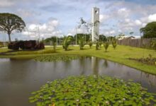 Photo of Parque Estadual do Utinga completa 33 anos