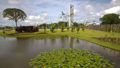 Photo of Parque Estadual do Utinga completa 33 anos