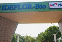 Photo of Inscrições para processo seletivo do IDEFLOR-Bio terminam nesta sexta-feira no Pará
