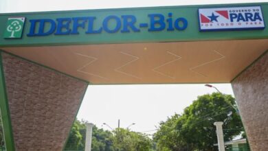 Photo of Inscrições para processo seletivo do IDEFLOR-Bio terminam nesta sexta-feira no Pará