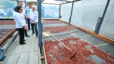 Photo of Dona Nena, a paraense que ensinou Lula e Macron sobre cacau e chocolate premium