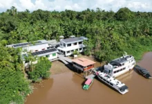 Photo of Grupo Mateus e Point do Açaí vão abrir fábrica no Marajó e ampliar presença nacional