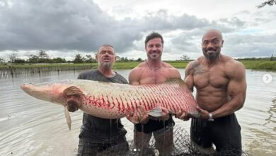 Photo of Renato Cariani, Julio Balestrin e Richard Rasmussen pescam pirarucu gigante no Pará