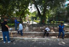 Photo of Calçada do Horto Municipal vai ganhar jardins de chuva em Belém