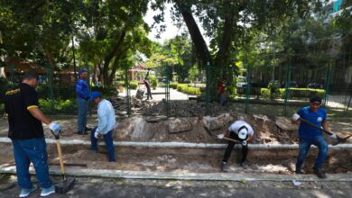 Photo of Calçada do Horto Municipal vai ganhar jardins de chuva em Belém