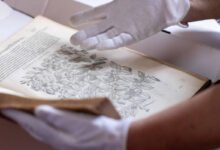 Photo of Biblioteca em Belém guarda livros de quase 500 anos e preserva tesouros da história da Amazônia