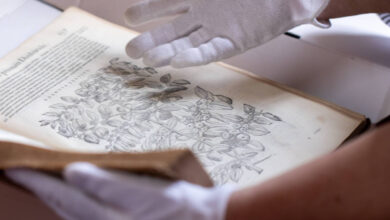 Photo of Biblioteca em Belém guarda livros de quase 500 anos e preserva tesouros da história da Amazônia