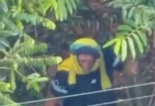 Photo of ONG estava por trás de invasão de terreno com floresta nativa em Belém; justiça determina reintegação de posse