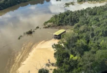 Photo of Operação do ICMBio em Novo Progresso gera reação de lideranças políticas do Pará