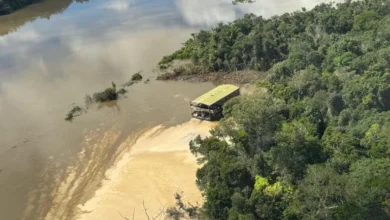 Photo of Operação do ICMBio em Novo Progresso gera reação de lideranças políticas do Pará