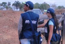 Photo of IBGE abre mais de 8 mil vagas temporárias para o Censo Agropecuário 2026; inscrições seguem até julho
