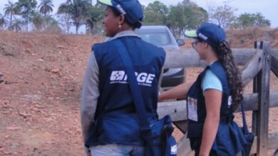 Photo of IBGE abre mais de 8 mil vagas temporárias para o Censo Agropecuário 2026; inscrições seguem até julho