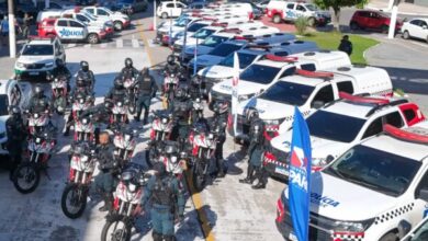 Photo of Governo do Pará inicia terceira fase da Operação Escudo Feminino nos 144 municípios