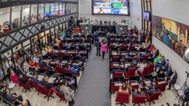 Photo of Alepa aprova campanha anual de saúde da população negra e reconhece parteiras tradicionais como patrimônio cultural