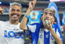 Photo of Após atropelamento em Belém, Pampam passa por cirurgia e apresenta evolução no quadro de saúde