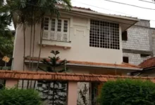 Photo of O berço do jiu-jítsu brasileiro é Belém, não o Rio de Janeiro. Entenda a história
