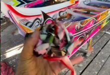 Photo of Jovem de Breves transforma rabetas em obras de arte e encanta a internet