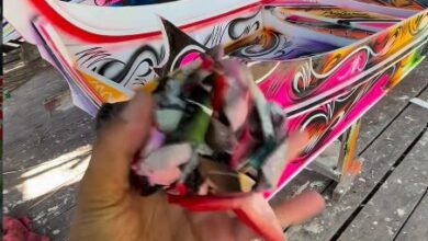 Photo of Jovem de Breves transforma rabetas em obras de arte e encanta a internet