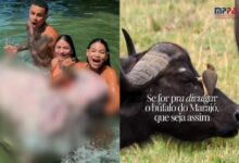 Photo of MPPA marca reunião em Soure após vídeo de influenciadora com búfalo e cita possível insegurança sanitária