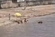 Photo of Moradores transformam alagamento em ‘praia improvisada’ e vídeo viraliza na Terra Firme