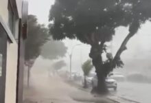 Photo of Temporal derruba árvores e deixa bairros sem energia em Mosqueiro