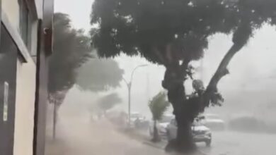 Photo of Temporal derruba árvores e deixa bairros sem energia em Mosqueiro