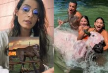 Photo of Jornalista critica vídeo de influenciadores com búfalo no Marajó e aponta “espetacularização” da cultura local