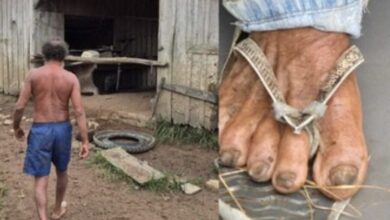 Photo of Idoso é resgatado após quase oito anos em condições análogas à escravidão no interior do Pará