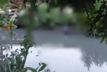 Photo of Homem encontrado morto em canal de Belém pode ter sido vítima de “tribunal do crime”, aponta investigação