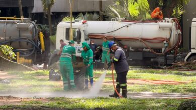 Photo of Prefeitura inicia força-tarefa para reduzir presença de garças na Praça Batista Campos