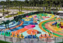 Photo of Parque da Cidade será reaberto nesta terça-feira após quatro dias de interdição