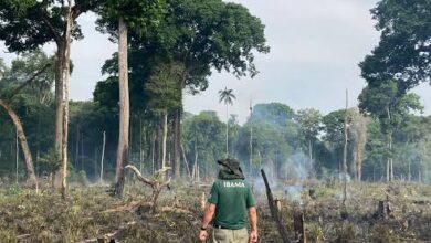 Photo of Falta de emprego e renda impulsiona desmatamento na Amazônia, indica estudo