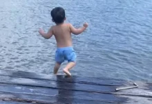 Photo of “Mini” ribeirinho encanta as redes sociais ao tomar banho de rio no Pará