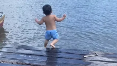 Photo of “Mini” ribeirinho encanta as redes sociais ao tomar banho de rio no Pará