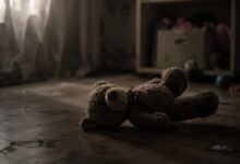 Photo of PF prende em flagrante homem que armazenava imagens de abusos sexuais cometidos contra crianças