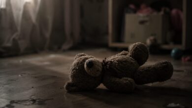 Photo of PF prende em flagrante homem que armazenava imagens de abusos sexuais cometidos contra crianças