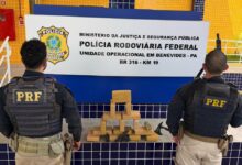 Photo of PRF e Denarc apreendem 15 kg de skunk e arma durante fiscalização na BR-316