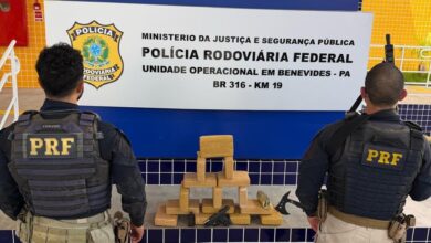Photo of PRF e Denarc apreendem 15 kg de skunk e arma durante fiscalização na BR-316