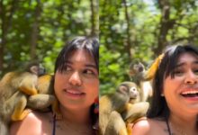 Photo of Influenciadora de Alter do Chão viraliza após macaquinhos acasalarem em seu ombro durante vídeo