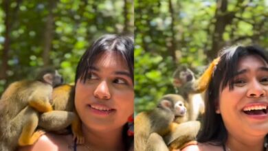 Photo of Influenciadora de Alter do Chão viraliza após macaquinhos acasalarem em seu ombro durante vídeo