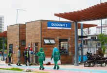 Photo of Parques Lineares da Doca e Tamandaré passam por revitalização e terão vigilância 24 horas