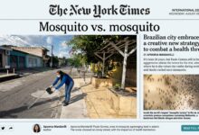 Photo of Belém ganha destaque no New York Times após reduzir em 70% doenças transmitidas por mosquitos
