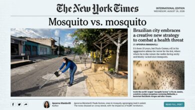 Photo of Belém ganha destaque no New York Times após reduzir em 70% doenças transmitidas por mosquitos